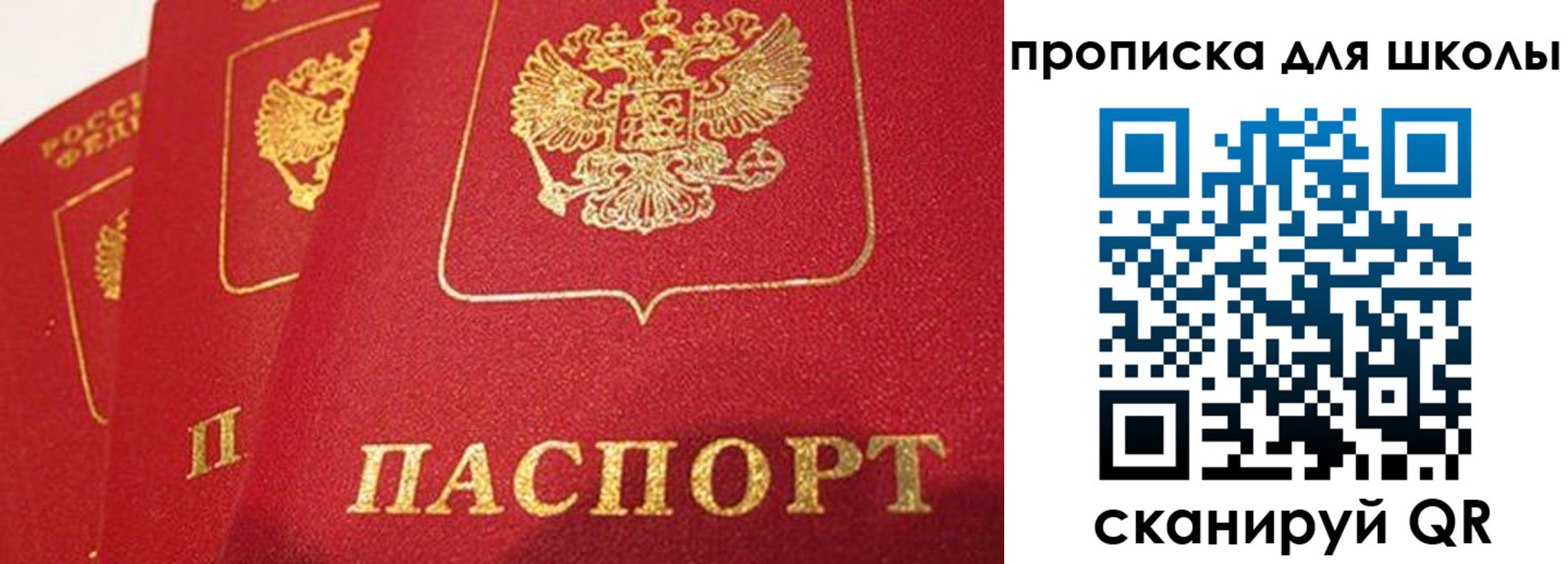 временная регистрация надежно в Рубцовске